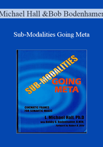 Michael Hall and Bob Bodenhamer - Sub-Modalities Going Meta