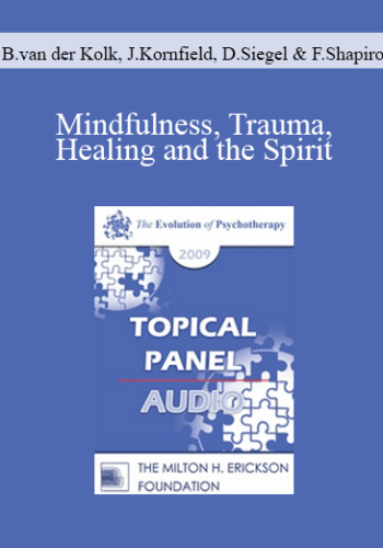 [Audio] EP09 Topical Panel 08 – Mindfulness, Trauma, Healing And The Spirit – Bessel Van Der Kolk, Jack Kornfield, Daniel Siegel, And Francine Shapiro