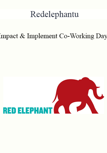 Redelephantu – Impact & Implement Co-Working Day