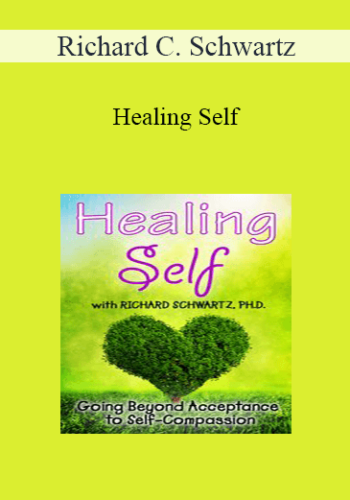 Richard C. Schwartz - Healing Self: Going Beyond Acceptance to Self-Compassion