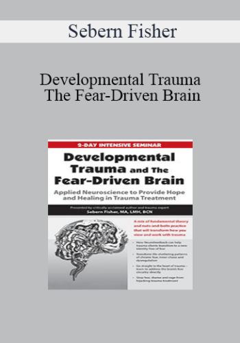 Sebern Fisher - Developmental Trauma and The Fear-Driven Brain: Applied Neuroscience to Provide Hope and Healing in Trauma Treatment