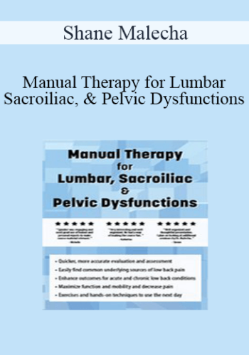 Shane Malecha – Manual Therapy For Lumbar, Sacroiliac, & Pelvic Dysfunctions