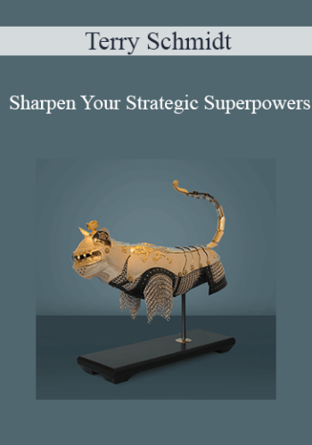 Terry Schmidt - Sharpen Your Strategic Superpowers