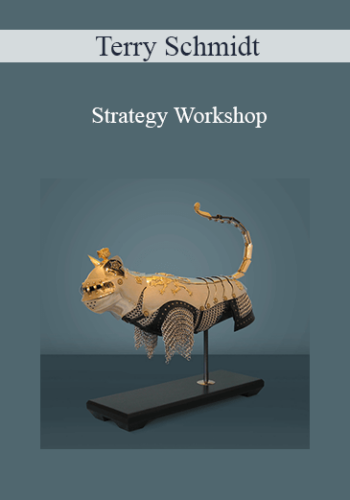 Terry Schmidt - Strategy Workshop
