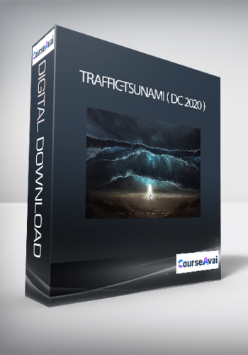 Traffic-Tsunami ( DC 2020 )