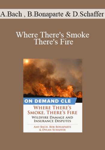 Amy Bach, Bob Bonaparte & Dylan Schaffer - Where There's Smoke There's Fire: Wildfire Damage and Insurance Disputes