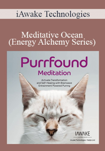 iAwake Technologies - Meditative Ocean (Energy Alchemy Series)