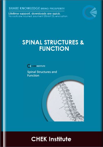 CHEK Institute  –  Spinal Structures & Function
