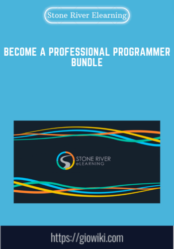 Become A Professional Programmer Bundle  –  Stone River Elearning