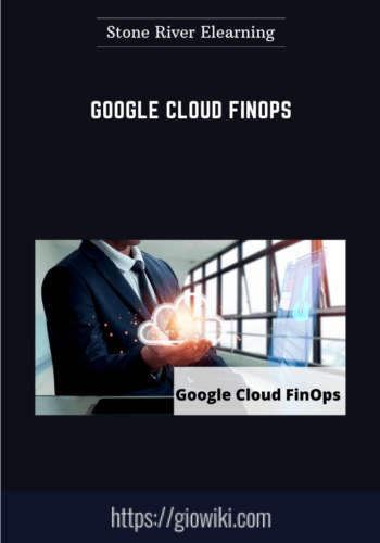 Google Cloud FinOps  –  Stone River Elearning