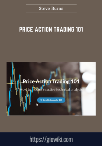 Price Action Trading 101  –  Steve Burns
