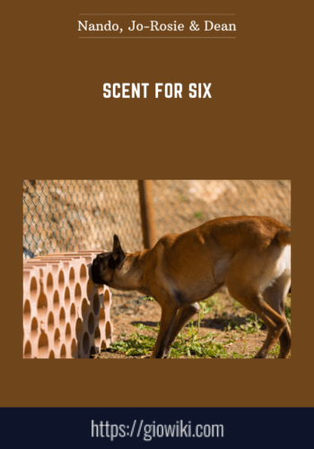 Scent For Six  -  Nando