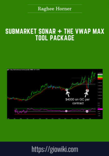 Submarket Sonar + The VWAP Max Tool Package  –  Raghee Horner