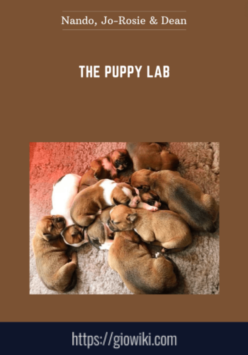 The Puppy Lab  –  Nando, Jo – Rosie & Dean