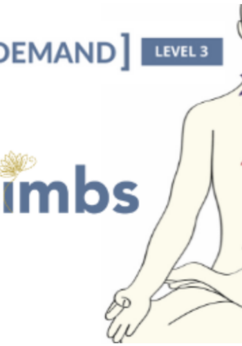 Available Only $59, On-Demand Meditation Level 3 Course – Gregor Maehle Course