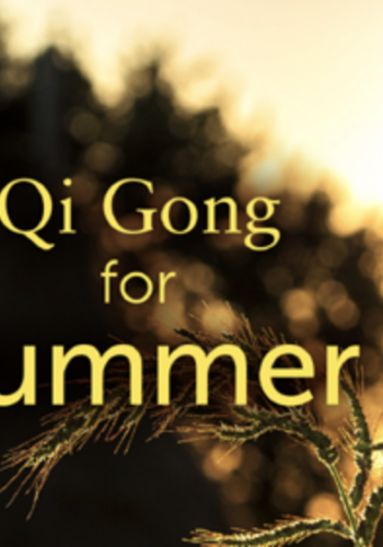 Available Only $29, Qi Gong For Summer Workshop – Lee Holden Course