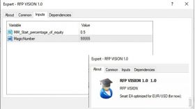 RFP VISION With Source Code (MQ4)